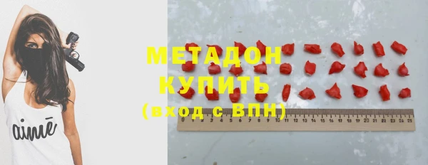 стафф Алзамай