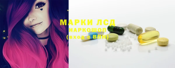 стафф Алзамай