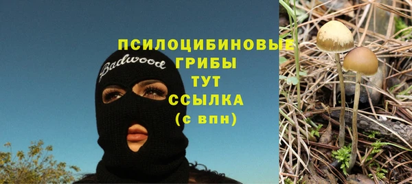 стафф Алзамай