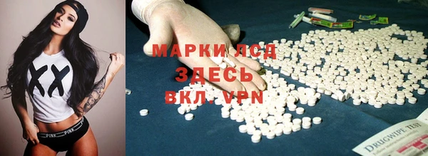 стафф Алзамай
