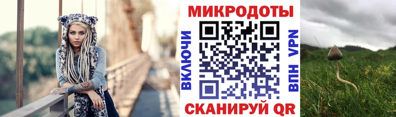 Псилоцибиновые грибы прущие грибы Белоозёрский