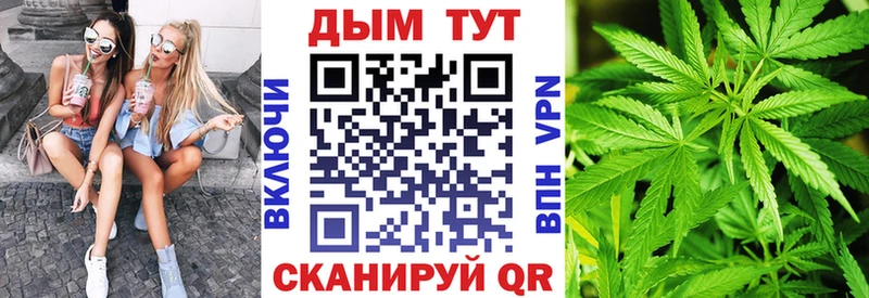 Канабис планчик  Белоозёрский 